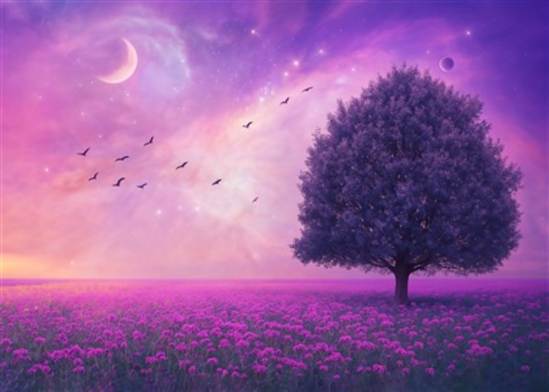 Magisk Aftenlandskab med Stjerner - Oplev det fortryllende møde mellem natur og himmel i dette farverige aftenlandskab. Det majestætiske træ står stolt midt i et blomstrende felt, hvor stjernerne lyser op i den dybe, lilla nat.
